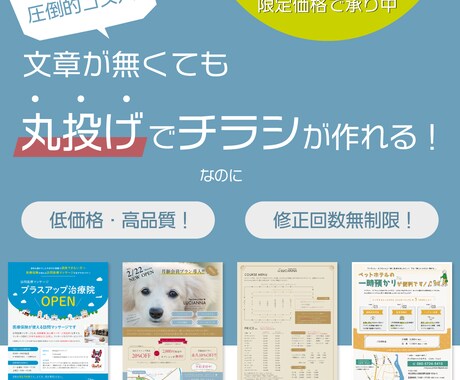 修正回数無制限！丸投げでも格安でチラシ制作します 文章がなくてもチラシが作れる！しかも低価格・高品質！ イメージ1