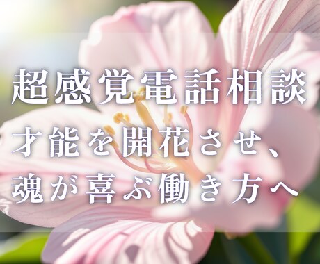 天職｜超感覚で才能・適職・キャリアを鑑定します あなたの才能や可能性を活かすヒントをお伝えします イメージ1