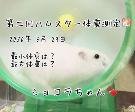 ハムスターの相談に乗ります 薔薇です。お世話になってます。ハムスター飼ってます。 イメージ2