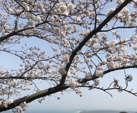 あなたの愚痴やお話お聞きします 何気ない話、愚痴から悩み事まで経験豊富なケイトがお聞きします イメージ1