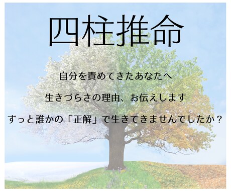 あなたの説明書を作成します ☆運勢の流れを読み生活に活かす☆ イメージ2