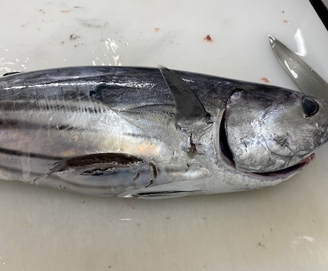 誰でも簡単に魚をさばけるようにします 魚さばいてかっこいい！って思われたくないですか？ イメージ1