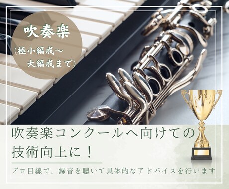 吹奏楽合奏録音のアドバイスを行います 全国大会金賞受賞経験者が本格的な指摘・アドバイス イメージ1