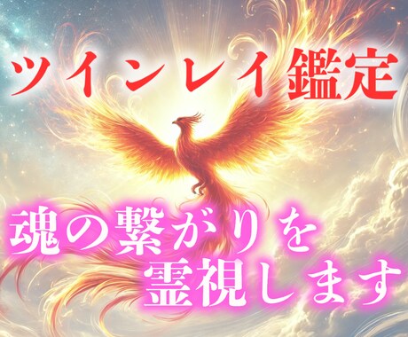 ツインレイ鑑定　お相手との魂の結びつきを霊視します 魂の片割れ・運命の人との結びつきを確かなものに イメージ1