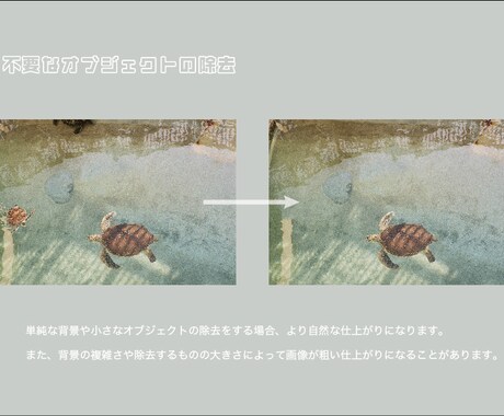 お写真加工致します 不要なオブジェクトの除去、背景の引き伸ばしなどさせて頂きます イメージ2