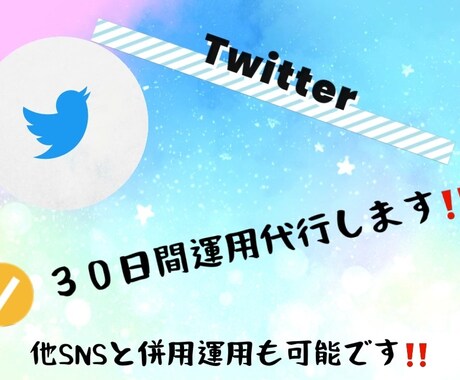 ３０日間◆1からでもTwitter運用代行します ３０日間Twitterをフォロワーゼロから運用します！ イメージ1