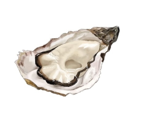 食べ物のイラスト描きます 今にも匂いがしてきそうなほど美味しそう！ イメージ1