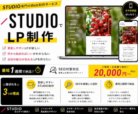 個人事業主の方向け！STUDIOでLP作成します 確定まで修正無制限/サポート30日間/SEO/レスポンシブ イメージ1