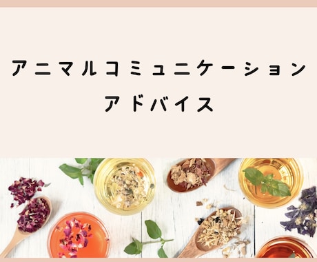アニマルコミュニケーションのアドバイスします 勉強中・練習中の方、気軽にお問い合わせください イメージ1