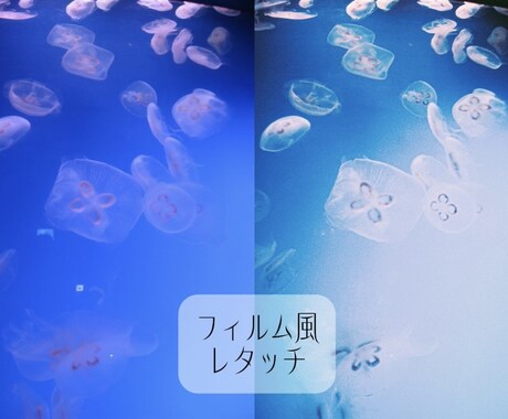 あなたの写真をフィルム風にレタッチします 商用利用可｜5枚〜お気軽にご相談ください！ イメージ1