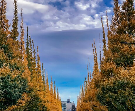 普通の写真を鮮やかに仕上げます 埋もれる写真から、選ばれる写真へ イメージ2