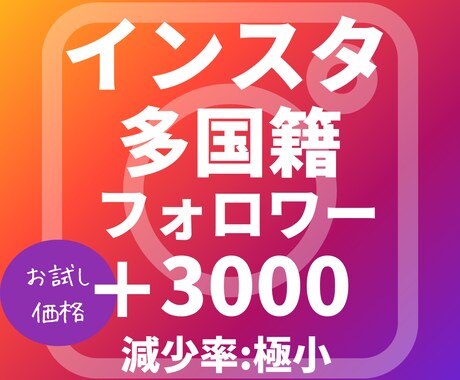 インスタグラム外国人フォロワー増加サポートします 多国籍フォロワー3000人お試し価格で増加させます イメージ1