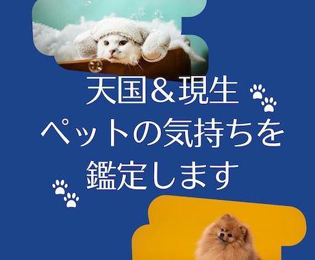 ペットからのメッセージをお伝えします 特定の出来事から紐解く、あの子の本当の想い イメージ1