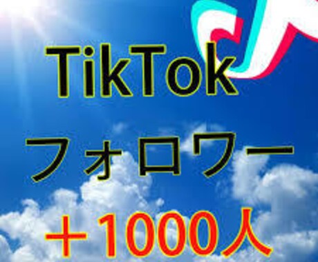 今だけ限定価格！TikTokフォロワー増加します TikTokフォロワー1000人増加まで宣伝します！ イメージ1
