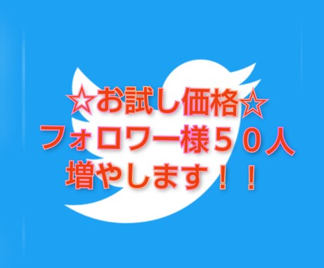 お試し♪ツイッターのフォロワー様５０人増やします 今年０からの実績２ヶ月で万垢達成♪フォロワー様を大切にします イメージ1