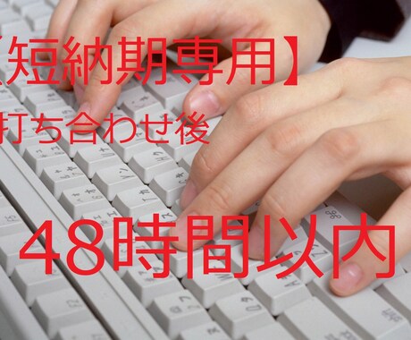 短納期専用/職務経歴書・履歴書を作成します 打ち合わせ後48時間以内に納品。元リクルート/準備なしで安心 イメージ1