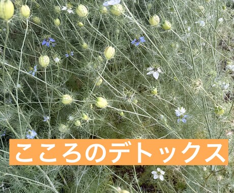 こころのデトックス・カウンセリングします 人生を変える、小さな気づきセッション イメージ1