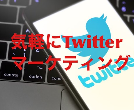 Twitterツイート作成・添削・アドバイスします 拡散宣伝付の安心SNSマーケティング★集客・webプロモ★ イメージ2