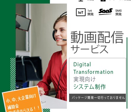 動画配信サービスのウェブシステムを開発します 本物の開発チームで開発します！ イメージ1