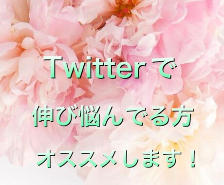 Twitterで伸び悩んでる方にご紹介します Twitterのノウハウあります！ イメージ1