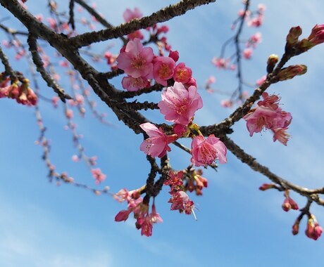 企業の吉祥名を付けます ちょっと待って！企業名で社運の運気は変わります。 イメージ2