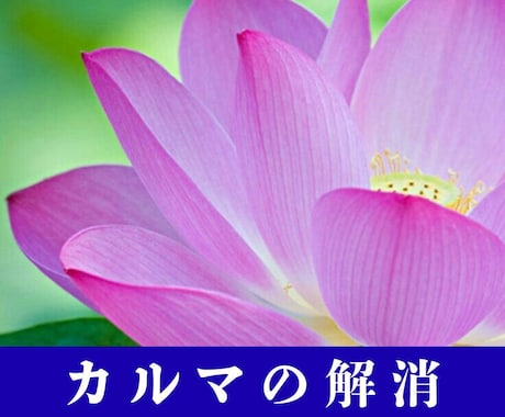 山富浩司さん直伝★カルマを癒し、解放します 「うまくいかない」悪循環を数分で書き換え望む未来を引き寄せる イメージ1