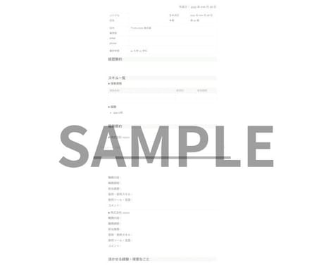 エンジニアのスキルシート･職務経歴書一緒に作ります 現役エンジニア兼人材担当とスキルの整理をしましょう！ イメージ2