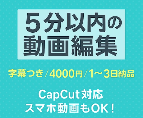 5分以内の動画編集ます 字幕つき｜4000円／3回修正OK・1〜3日納品 イメージ1