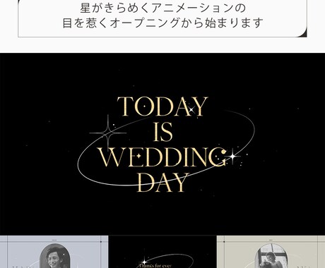 シックでキラキラなプロフィールムービー作ります シンプルで大人っぽいシックな雰囲気のプロフィールムービー イメージ2