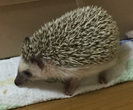 【夢占い】あなたの夢を占います! イメージ1