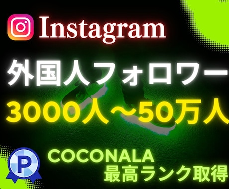 Instagramフォロワーを3000人増加します インスタ日本人フォロワーも対応可能！振り分けOK、保証あり！ イメージ1