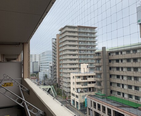 鳩よけネットの取り付けサポートします 【材料一式送付】取付けチャレンジされる方にプロがアドバイス イメージ1