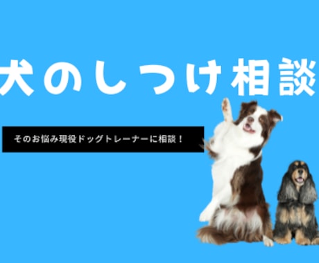 犬のしつけ相談に乗ります 毎日のできた！が増える現役トレーナーが教えるしつけのコツ♪ イメージ1