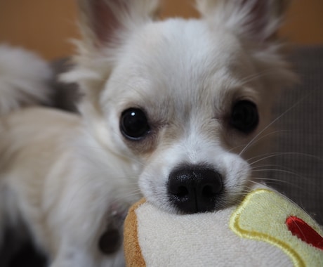 どんなお話も寄り添います ❤️看護師がお話しお聞きします❤️ イメージ1