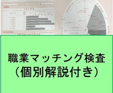 テキストファイルで職業興味・自己評価検査を致します 信頼性の高い検査＋キャリアコンサルタントのアドバイス イメージ1
