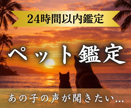 虹の橋のペットからのメッセージを届けます ペット鑑定 |あの子の伝えたかった想いを霊視でお伝えします イメージ1