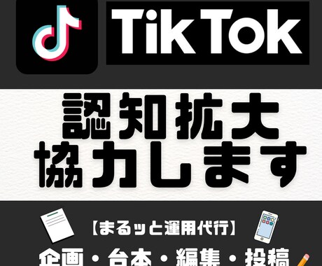 あなたの事業の認知拡大、集客のお手伝いをします 圧倒的拡散力！！TikTokの正しい使い方をお教えします！ イメージ1