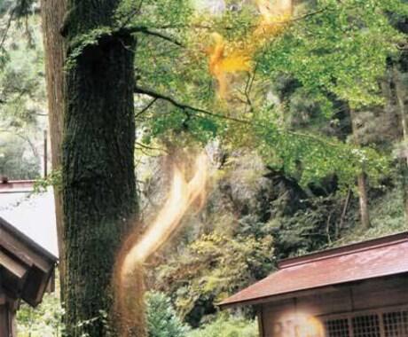 色々な悩みを話しながら解決します 1度話をしてみませんか？高校生社会人でも大歓迎です イメージ2