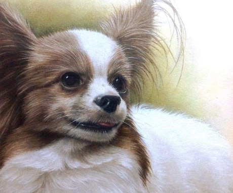 ペットのお写真から油絵作品を制作します 細密描写によるリアルで可愛い作品をお届け イメージ1