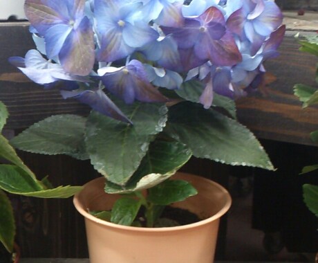 迷っちゃう！？プレゼントで渡す花のお悩み相談受け付けます イメージ2