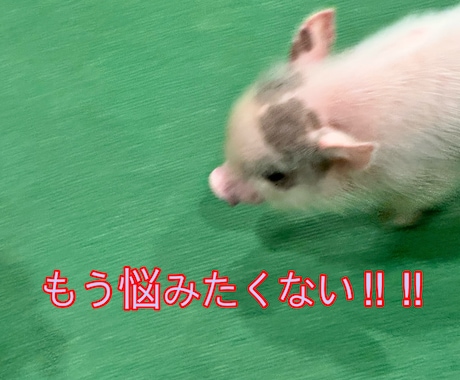 悩みがあって困っている方にプロが助言します プライベート、仕事、親子…今ある悩みを一緒に解決しましょう イメージ1