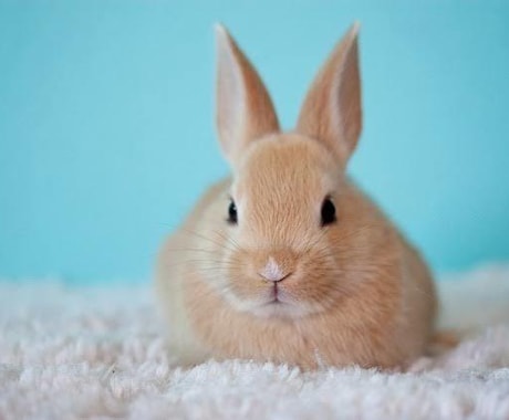 なんでもお話ししてください＊やさしく寄り添います 《話を聞いてもらいたいけど、友達には言えない…そんな方に♩》 イメージ2