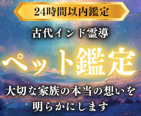 ペット鑑定 |今もそばに、あの子の想いがあります 伝えきれなかった想いを、魂の記憶からすくい上げてお届けします イメージ1