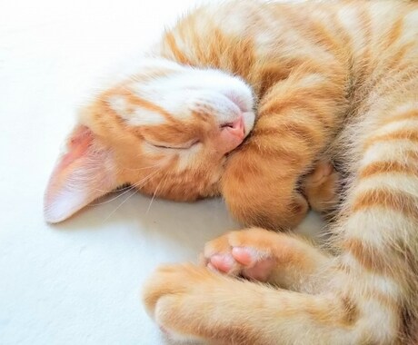 朝までグッスリ！眠る　やさしいヨガレッスンをします 「最高の睡眠」で人生を最高に！ イメージ2