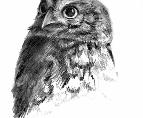 最高にオシャレなペットの似顔絵描きます 素敵さを最大限にオシャレに引き出します！ イメージ2