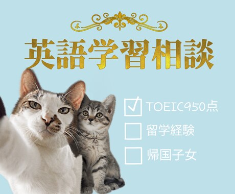 純ジャパTOEIC950点が英語学習の相談乗ります 英語の勉強をしているのに上達しない方！一度ご相談ください！ イメージ1