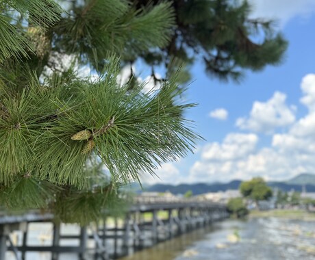 SNSがバズる画像を提供します お洒落な風景写真でバズを作ろう！ イメージ2
