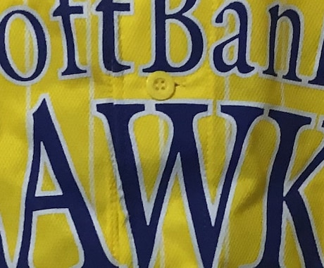 2日間 ホークスの話題でやりとりします ホークス大好きな私とチャットでチャットで盛り上がりましょう イメージ1