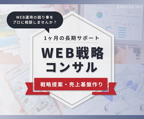 WEB戦略コンサルが1ヶ月間あなたの顧問になります 売上基盤作り、運用の困り事、コンサルタントに相談しませんか？ イメージ1