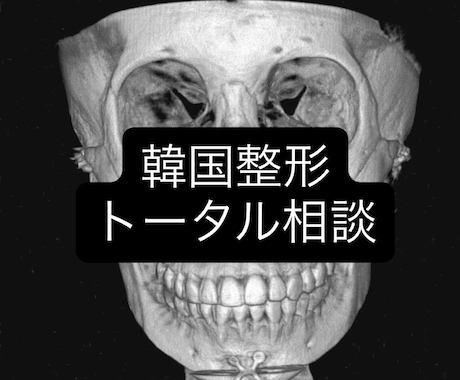 韓国整形トータル相談お受けします 元韓国美容外科室長による写真相談から病院選びなど相談OK イメージ1